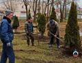 Добрушские спасатели на водах высадили красивые туи