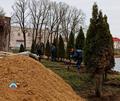 Добрушские спасатели на водах высадили красивые туи