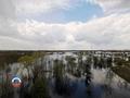 Рост уровня воды на реке Сож ослабевает 